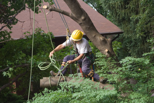 Best Weed Control  in Conashaugh Lakes, PA